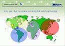 마이크로 소프트의 국제화 전략 21페이지