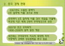 중국경제성장의 현황과 경제성장에 따른 문제점 및 개선방안 제언 7페이지
