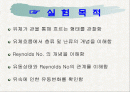 레이놀즈수 2페이지