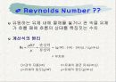 레이놀즈수 3페이지