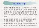 레이놀즈수 17페이지