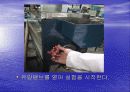 레이놀즈수 22페이지