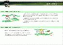 골프에 대하여 5페이지