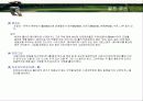 골프에 대하여 13페이지