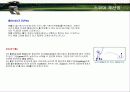 골프에 대하여 17페이지