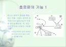 비타민에 대하여 2페이지