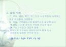 비타민에 대하여 13페이지