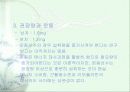 비타민에 대하여 14페이지