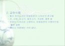 비타민에 대하여 16페이지