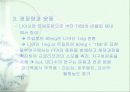 비타민에 대하여 17페이지