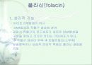 비타민에 대하여 22페이지