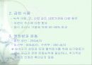 비타민에 대하여 23페이지