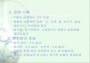 비타민에 대하여 25페이지