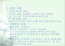 비타민에 대하여 29페이지