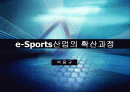 e-Sports산업의 확산 과정 1페이지