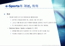 e-Sports산업의 확산 과정 2페이지