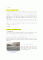 주거와 환경(주거환경의 중요성) 1페이지