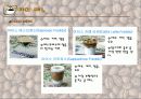 커피의 모든것 - 커피의 역사, 지역별 특성, 생산지, 조리방법, 조리기구, 메뉴, 효능 등 커피의 모든 것 14페이지