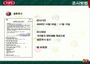 빕스의 판매확대 전략 및 조사분석 6페이지