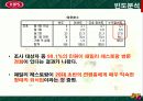 빕스의 판매확대 전략 및 조사분석 15페이지