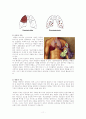 [성인간호]만성폐쇄성폐질환(COPD) case study 11페이지