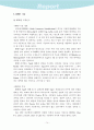 과거, 현재의 전자상거래 수익모델과 향후 예상되는 전자상거래 수익모델 76페이지