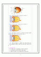 시력보호 보건교육 지도안 6페이지