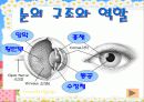 시력보호 보건교육 파워포인트 9페이지