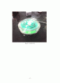 bioassay (생물학적방법) 27페이지