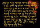 2006년 패션의 경향과 비평 11페이지