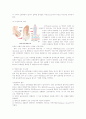 스포츠 영양학 탄수화물(당질)의 소화 및 흡수 4페이지