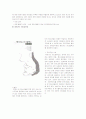 탈북주민(새터민)에 대한 교육현실과 실태, 문제점 그리고 그 대안 [2007년 자료] 8페이지