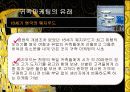 귀족마케팅(레포트) 4페이지