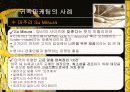 귀족마케팅(레포트) 13페이지