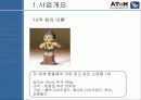 인터넷쇼핑몰 사업계획서-캐릭터의류쇼핑몰(레포트) 3페이지