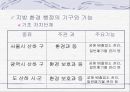 지방자치와 환경행정 5페이지