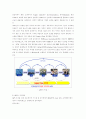 APS에 대하여 9페이지
