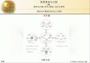 정보시스템, 조직, 경영, 그리고 전략 54페이지