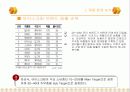 돼지바의 광고기획서 5페이지