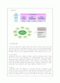 신세계백화점과 현대백화점의 CRM비교 4페이지