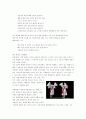 우리나라 연극 발전사(전통극, 인형극, 그림자극, 판소리부터.변천사까지) 12페이지