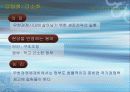 한국 행정의 특징과 현황 향후과제분석 11페이지