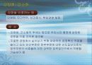 한국 행정의 특징과 현황 향후과제분석 12페이지