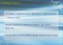 한국 행정의 특징과 현황 향후과제분석 29페이지