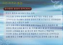 한국 행정의 특징과 현황 향후과제분석 44페이지