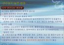 한국 행정의 특징과 현황 향후과제분석 46페이지