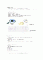 심폐소생술에 대해 4페이지