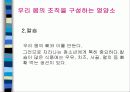 청소년비만과 영양관리 9페이지