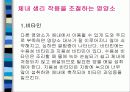 청소년비만과 영양관리 10페이지