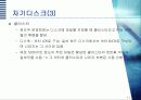 자료저장 장치 11페이지